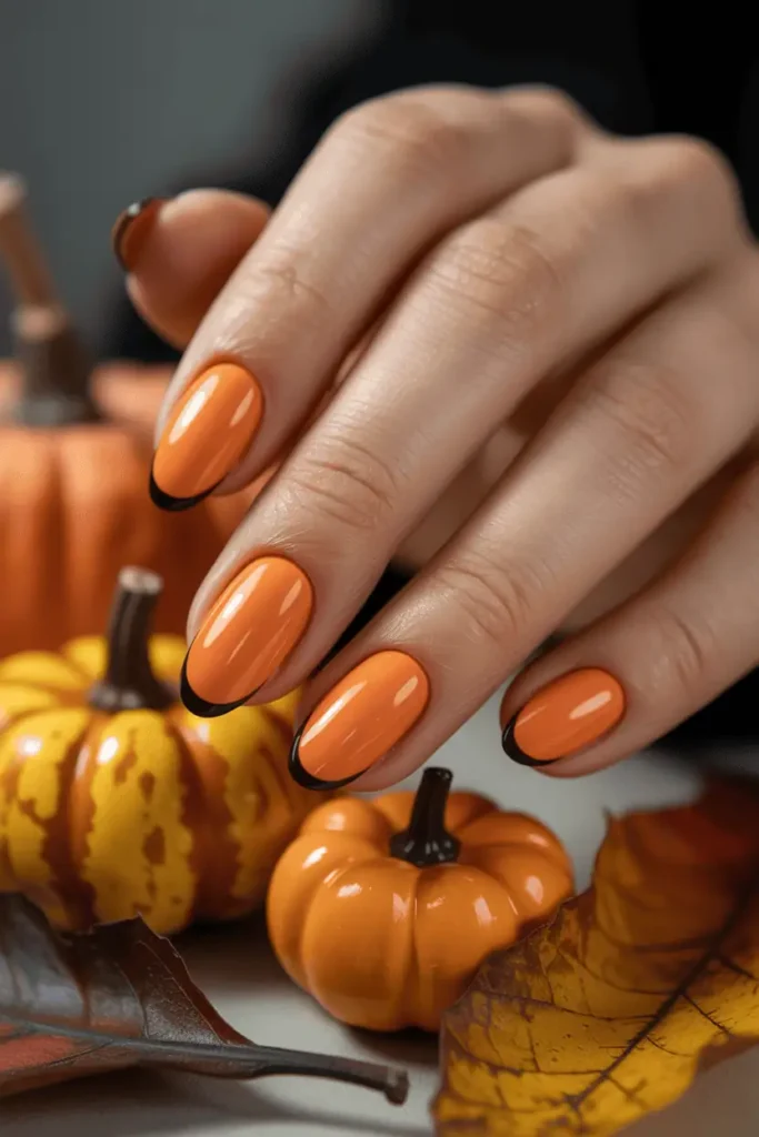 Pumpkin Orange with Black Tips