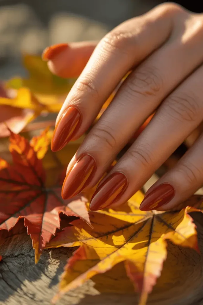 Burnt Sienna Orange