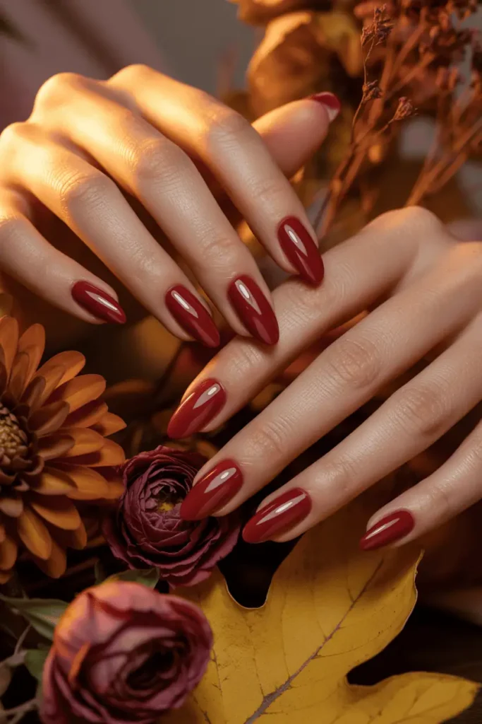 Cranberry Red Glossy